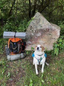 Trilby and a backpack full of camping gear posed by a rock engraved to indicate the start of the Bartram Trail.